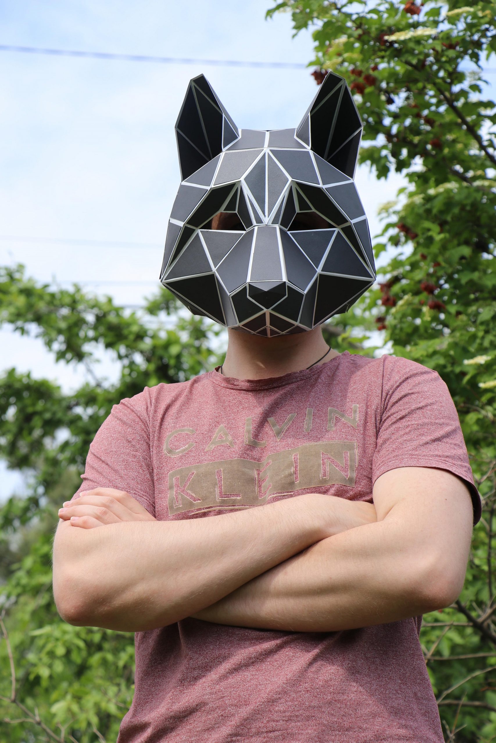 ziekenhuis Op en neer gaan Ijdelheid Wolf Low Poly Mask, DIY Paper Craft Mask Wolf, PDF Template For 3D Masks -  LACRAFTA