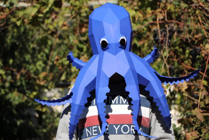 Octopus-Maske aus Papier