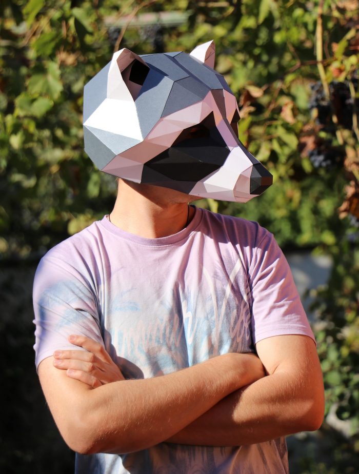 Waschbär-Maske aus Papier