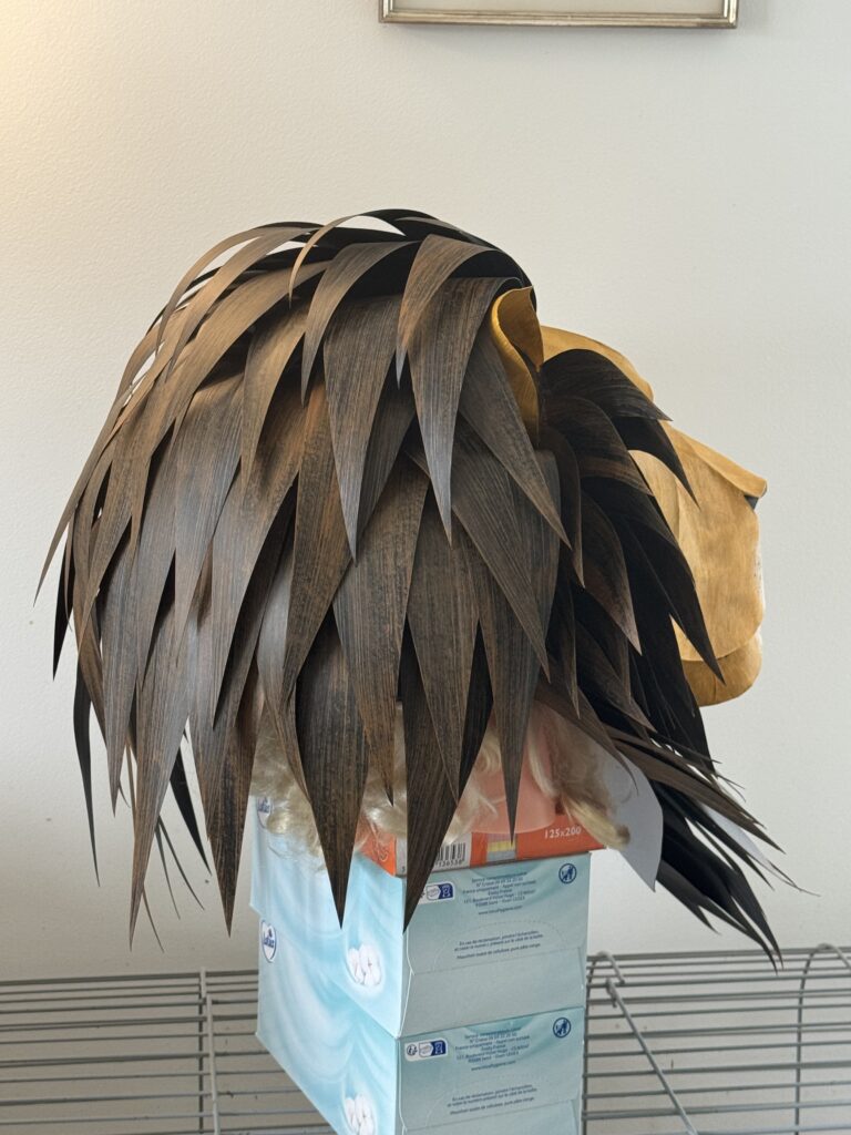 Image #3 from PECHON