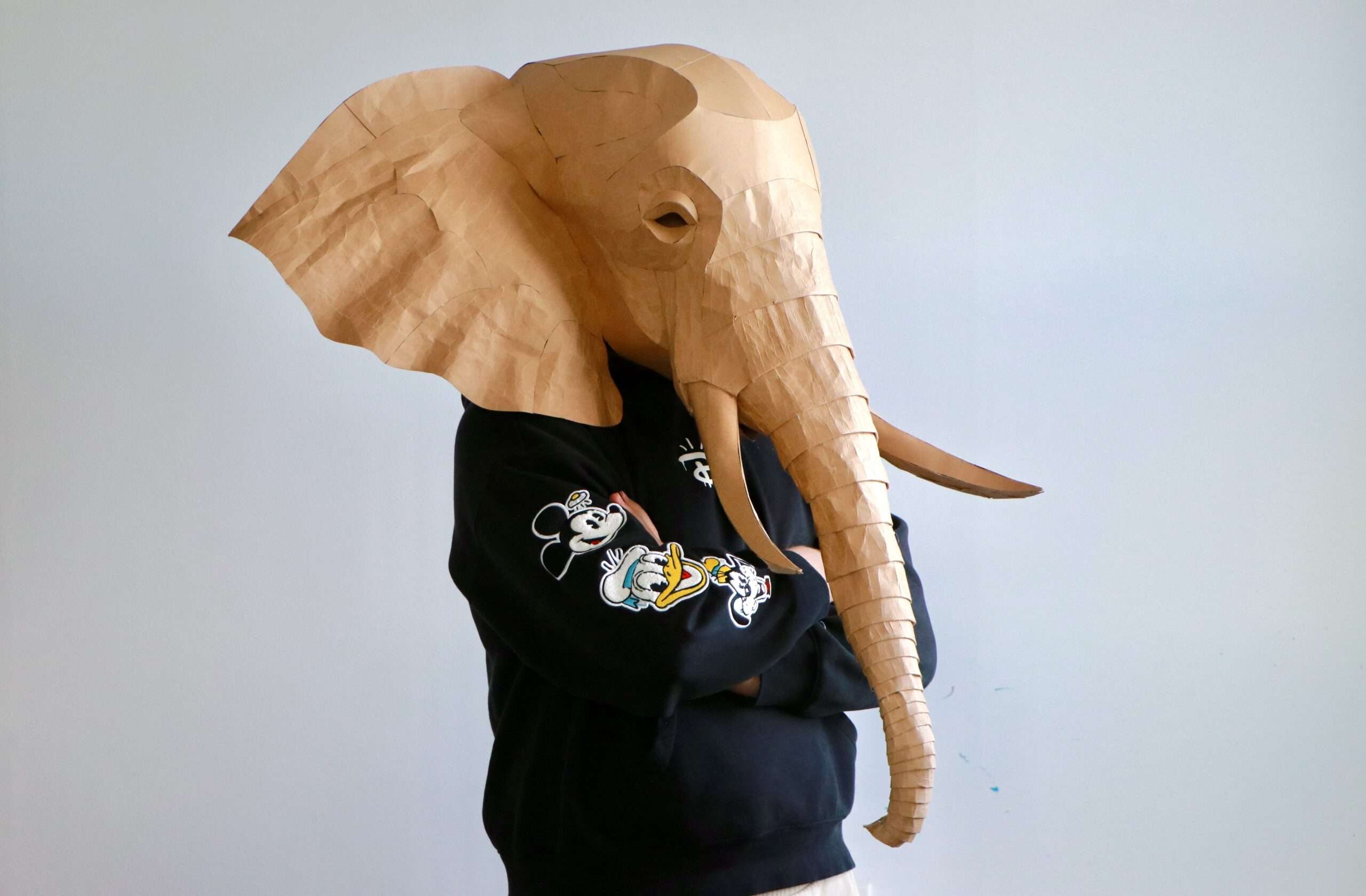 Elephant Mask & Wall Decor (Papercraft & EVA Foam) - Image 4