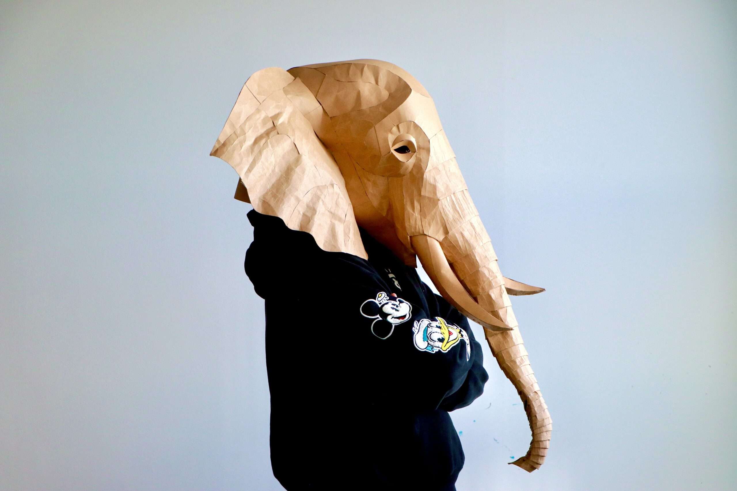 Elephant Mask & Wall Decor (Papercraft & EVA Foam) - Image 3