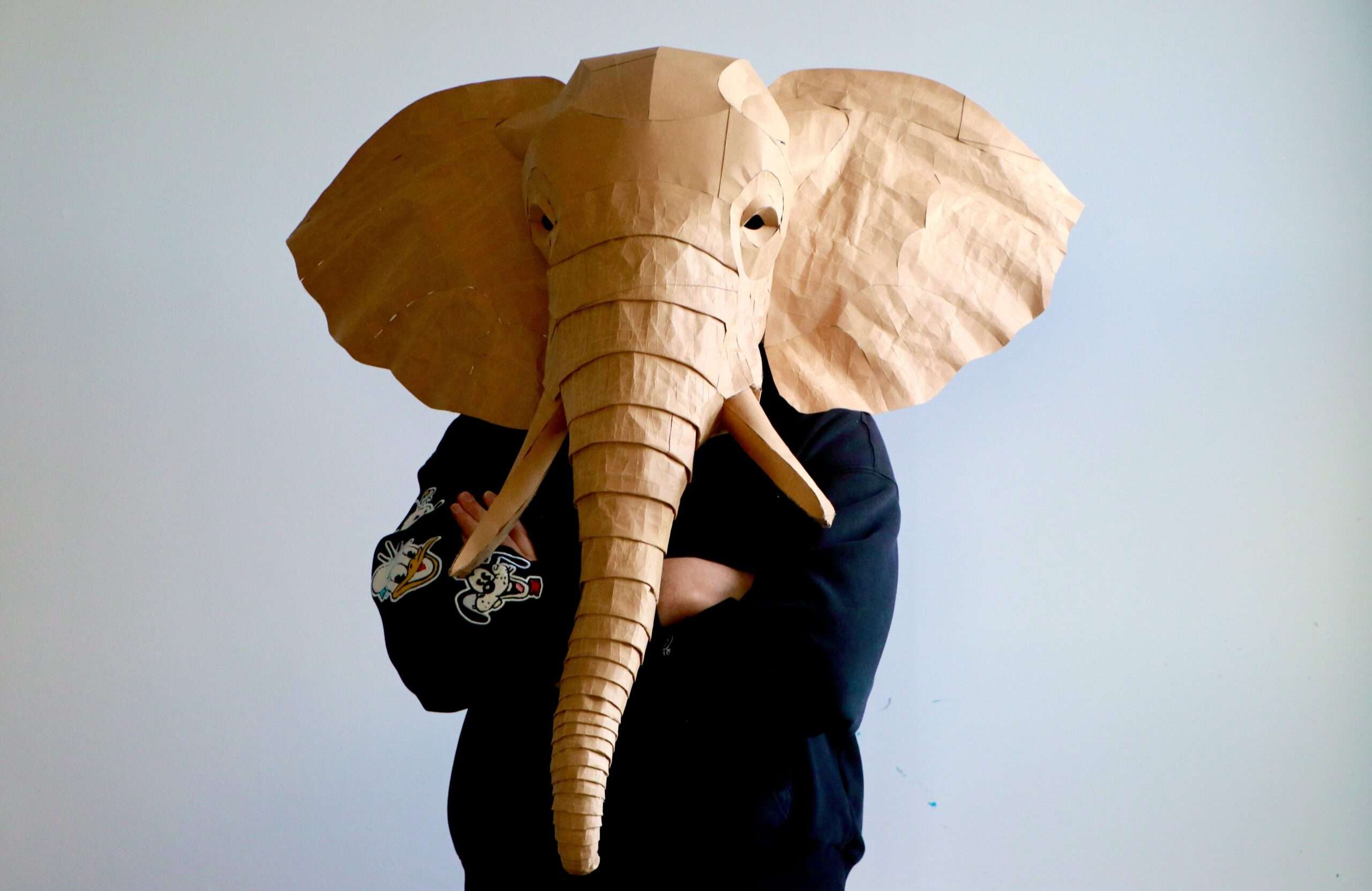 Elephant Mask & Wall Decor (Papercraft & EVA Foam) - Image 2