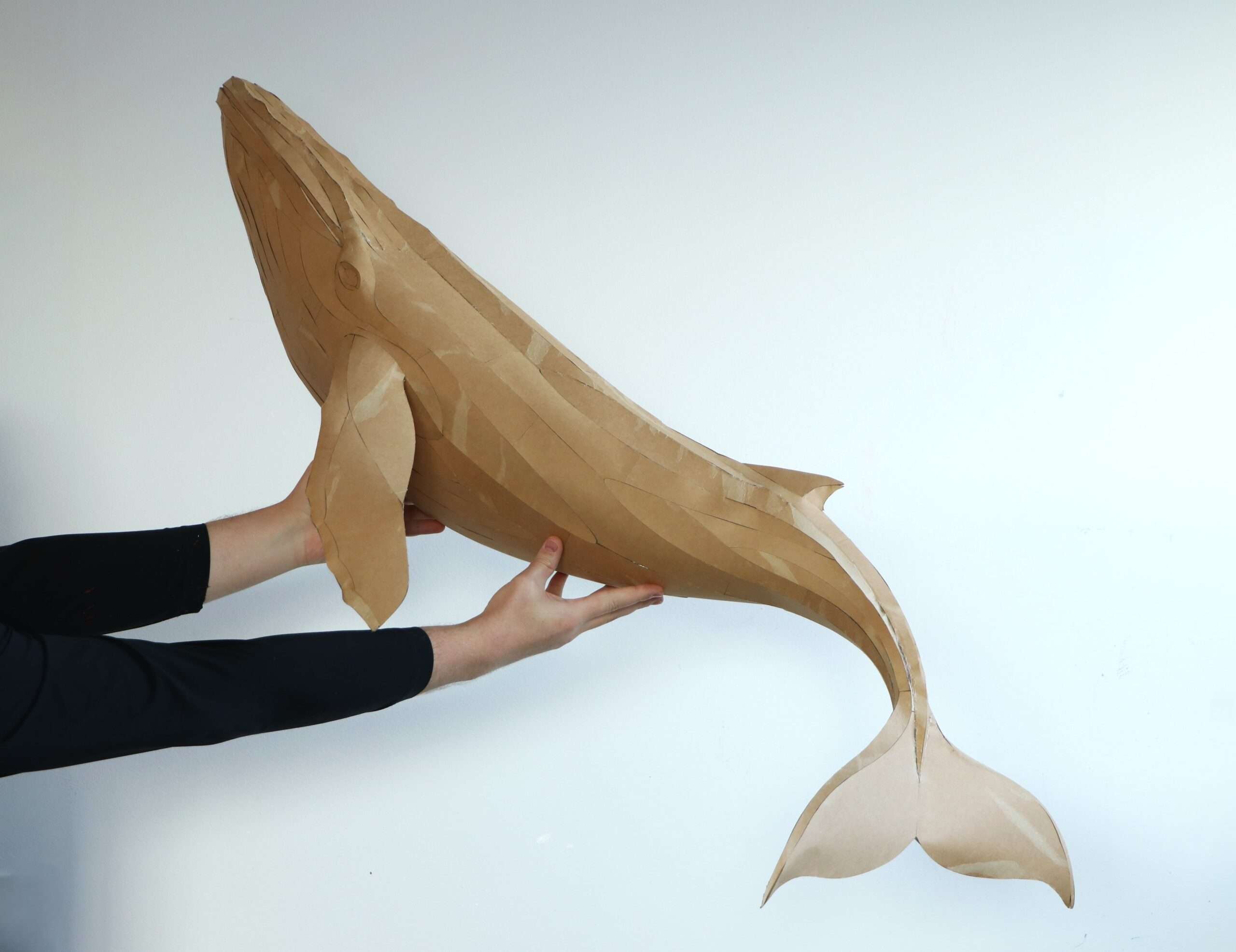 Whale Papercraft Sculpture Template — Paper & EVA Foam DIY Model, Pdf, Dxf, Svg - Image 4