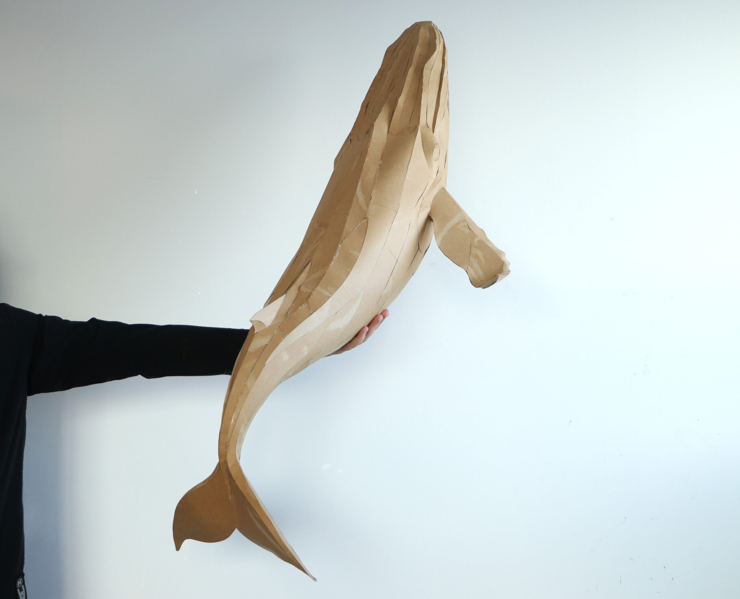 Whale Papercraft Sculpture Template — Paper & EVA Foam DIY Model, Pdf, Dxf, Svg - Image 6