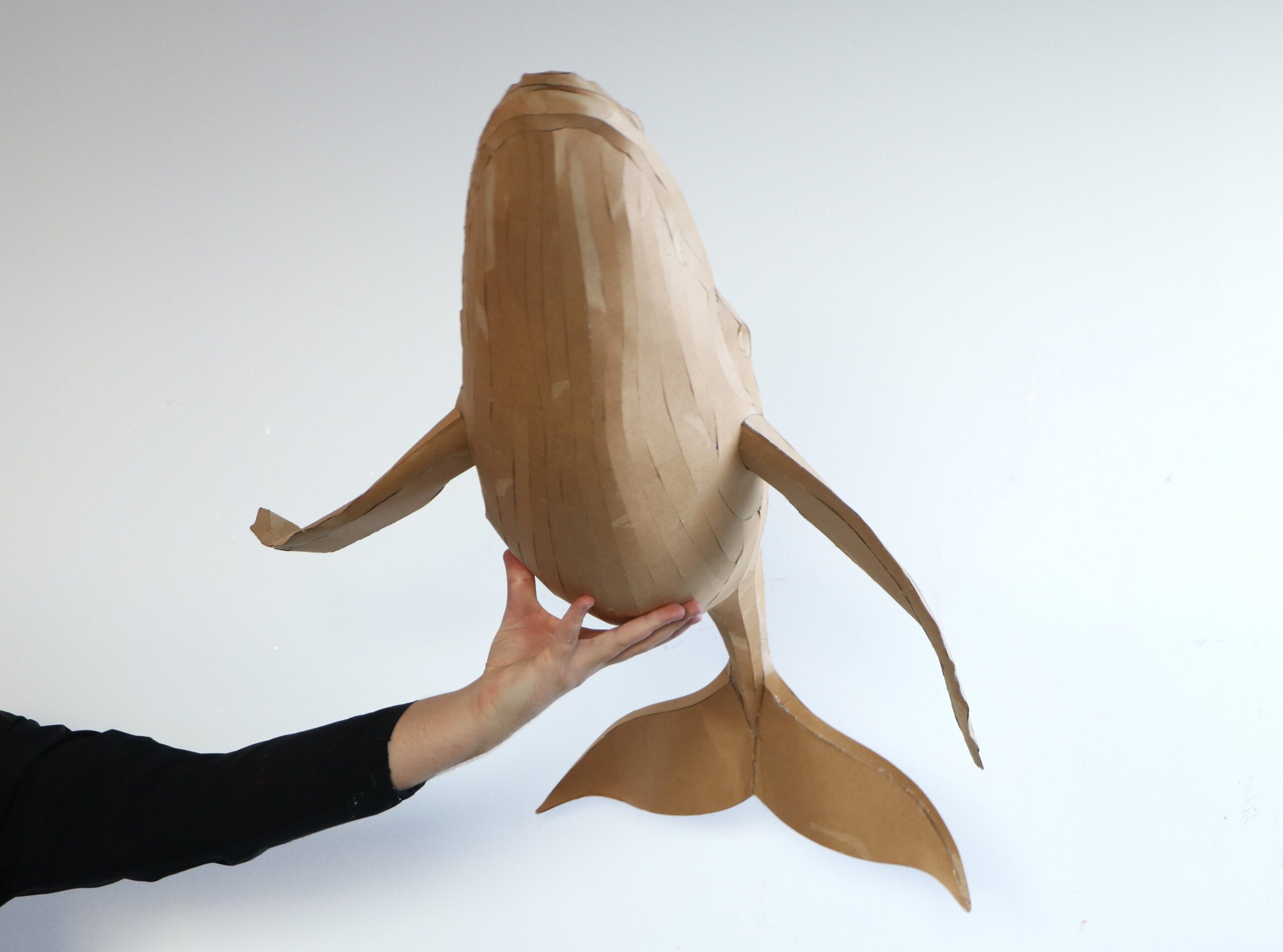Whale Papercraft Sculpture Template — Paper & EVA Foam DIY Model, Pdf, Dxf, Svg - Image 5