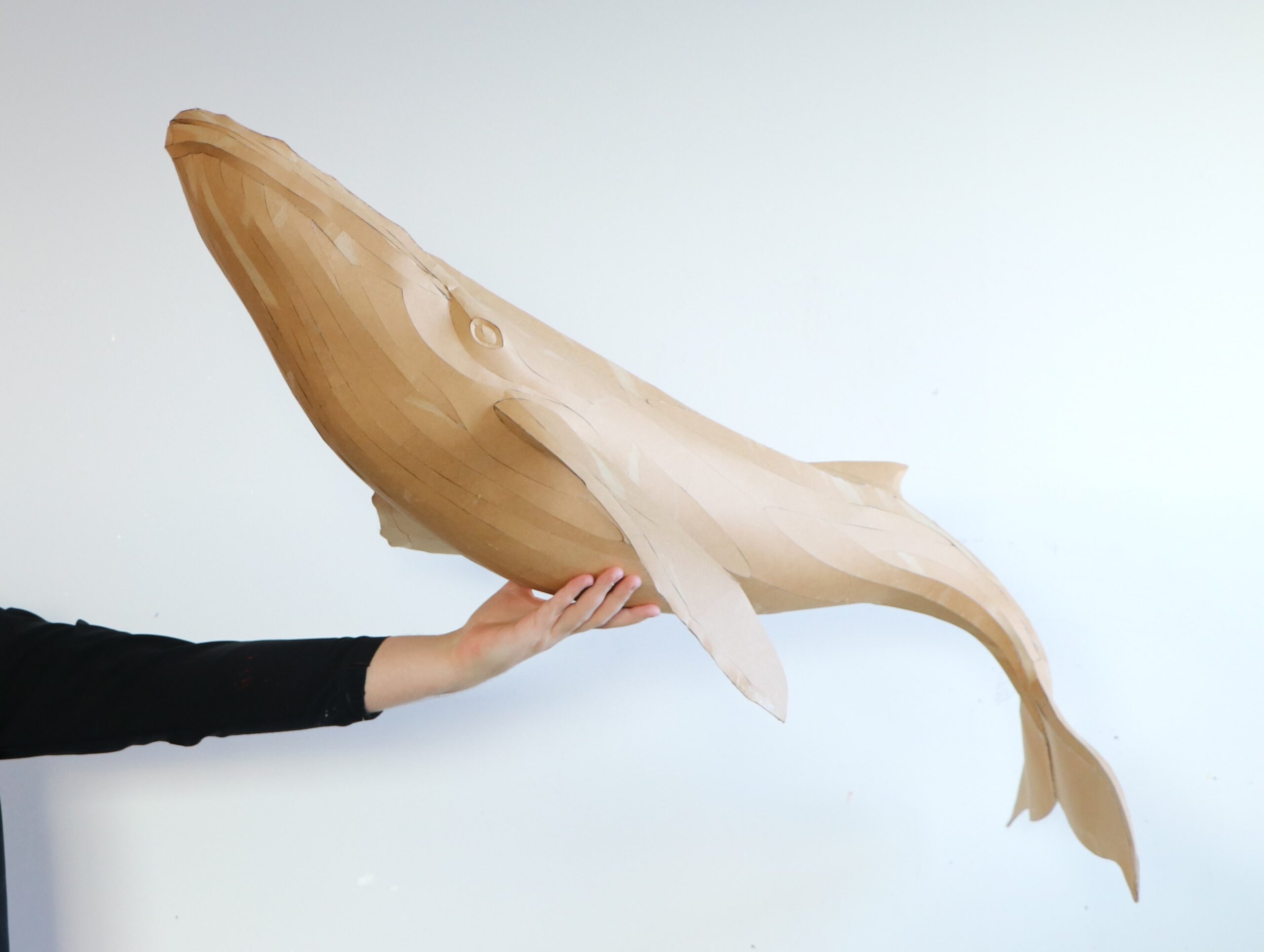 Whale Papercraft Sculpture Template — Paper & EVA Foam DIY Model, Pdf, Dxf, Svg - Image 13
