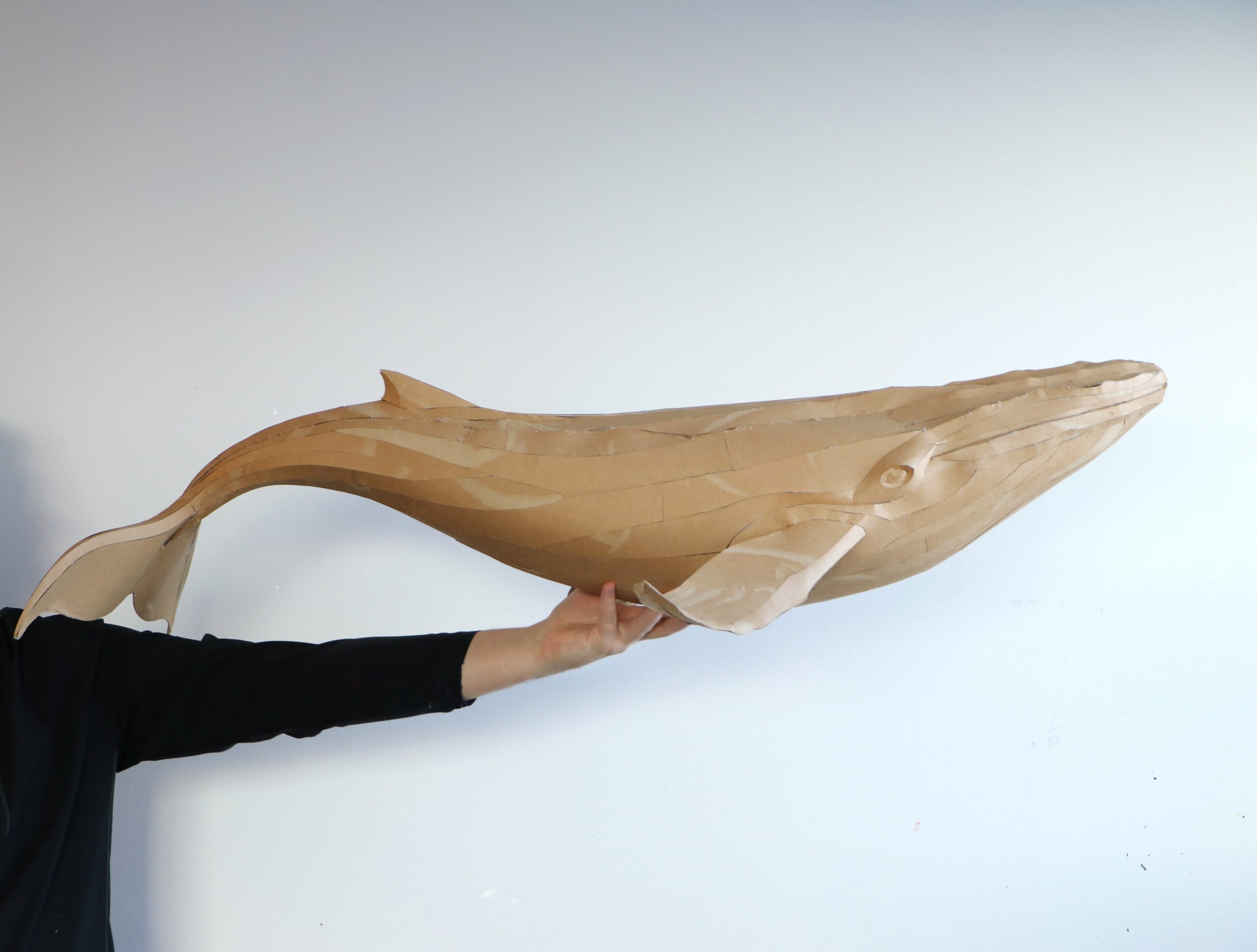 Whale Papercraft Sculpture Template — Paper & EVA Foam DIY Model, Pdf, Dxf, Svg - Image 16