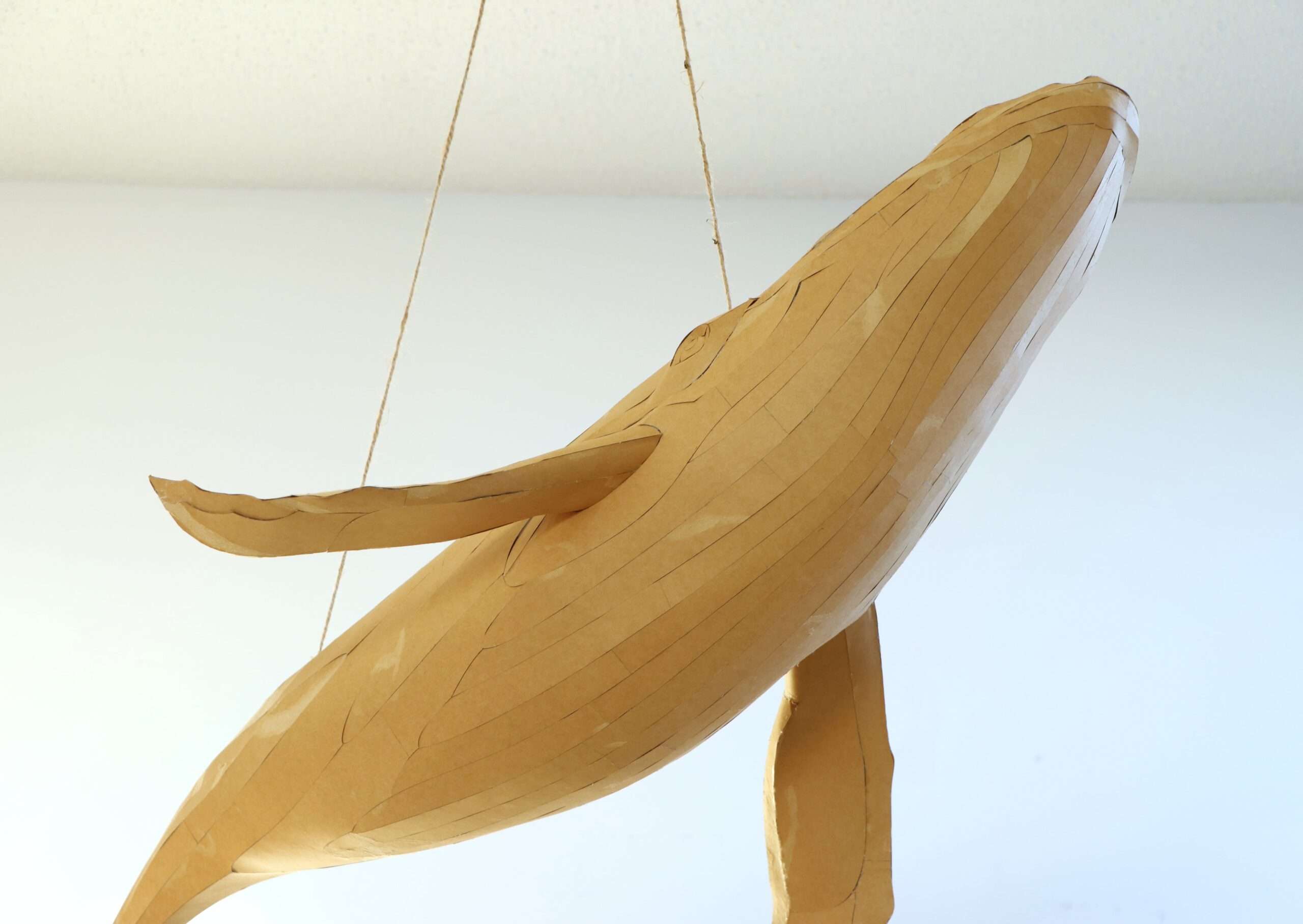 Whale Papercraft Sculpture Template — Paper & EVA Foam DIY Model, Pdf, Dxf, Svg - Image 17