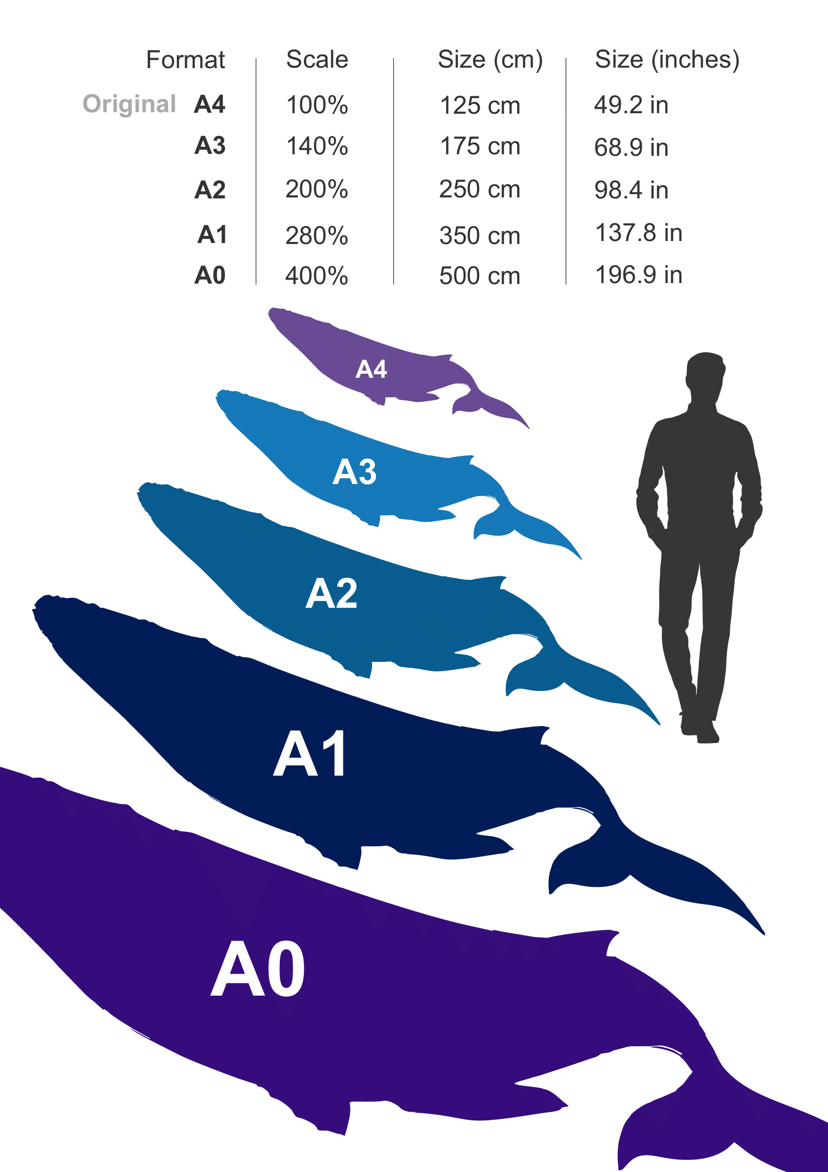 Whale Papercraft Sculpture Template — Paper & EVA Foam DIY Model, Pdf, Dxf, Svg - Image 9