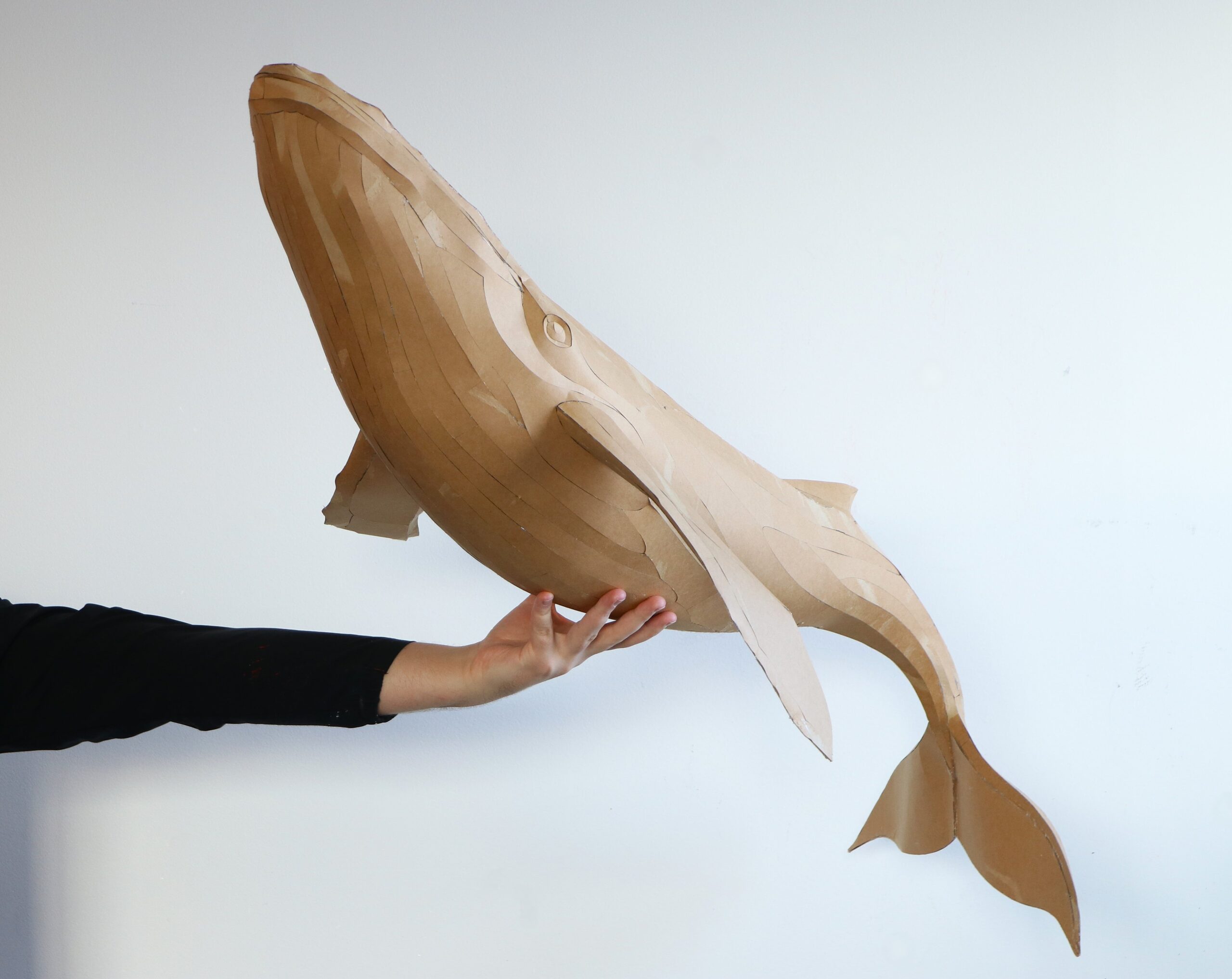 Whale Papercraft Sculpture Template — Paper & EVA Foam DIY Model, Pdf, Dxf, Svg